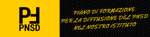 b_300_0_16777215_00_images_PNSD_Formazione_2016-2017_PFPNSD.png